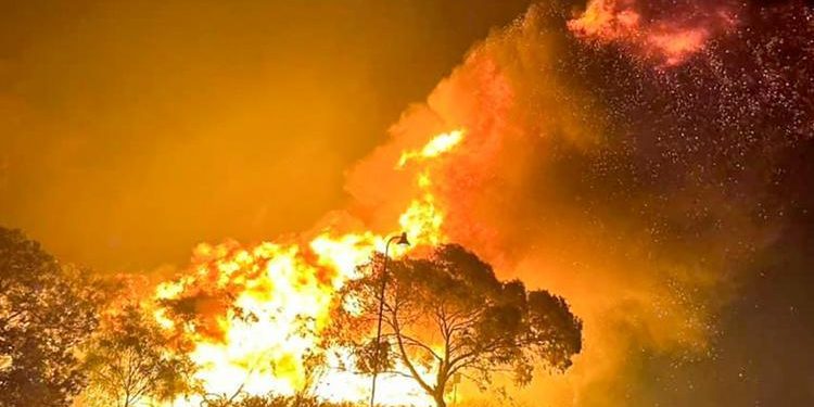 Avustralya orman yangınları ile gayret ediyor! 16 bin hektarlık alan küle döndü