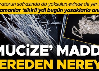 Bir vakitler ‘sihirli’ kabul ediliyordu, bugün ise yasaklarla anılıyor… ‘Mucize’ mineralin farklı tarihi