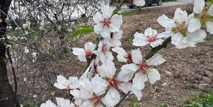 Birinci cemre düştü mü? Cemre düşme tarihleri…