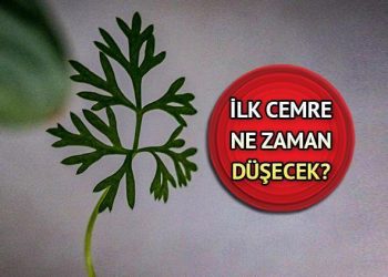 Birinci cemre düştü mü, ne vakit düşecek? Cemre düşme tarihleri 2024!