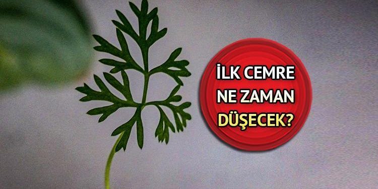 Birinci cemre düştü mü, ne vakit düşecek? Cemre düşme tarihleri 2024!