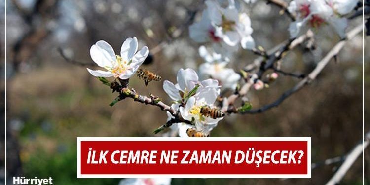 BİRİNCİ CEMRE NE VAKİT DÜŞECEK 2024 | Bahar habercisi cemre havaya, suya ve toprağa ne vakit düşer? İşte 1. cemre düşme tarihi!