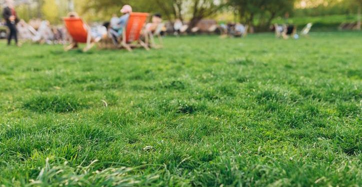 CEMRE DÜŞME TARİHLER (2024): Yılın birinci cemresi düştü mü? Baharın habercisi cemre havaya, suya ve toprağa ne vakit düşecek?