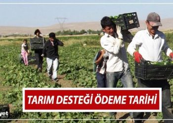 ÇİFTÇİ DAYANAK ÖDEMESİ NE VAKİT YATACAK, ÖDENDİ Mİ? Bakanlık ödeme tarihini duyurdu! İşte e-Devlet ziraî takviye ödemesi sorgulama ekranı!