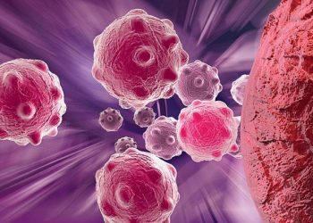 DSÖ 2050’ye kadar 35 milyondan fazla yeni kanser hadisesi öngörüyor: Eşit uğraş için ‘acil yatırım’ daveti