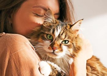 Dünya kediler günü ne vakit, hangi gün? 17 Şubat ne günü?