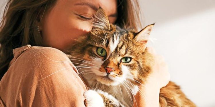 Dünya kediler günü ne vakit, hangi gün? 17 Şubat ne günü?