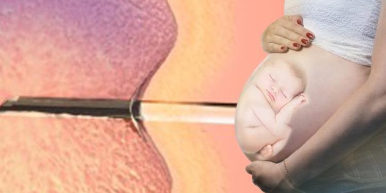 Embriyolar çocuk sayıldı, ABD’de  tüp bebek çalışmaları durdu