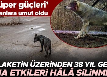 Felaketin üzerinden 38 yıl geçti lakin tesirleri hâlâ silinmedi… ‘Süper güçleri’ beşerler için umut oldu