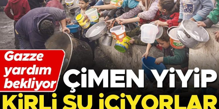 Gazze yardım bekliyor… Çimen yiyip kirli su içiyorlar