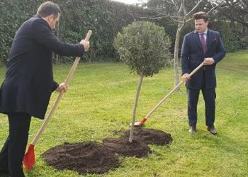 İmajlar  Vatikan’dan… 6 Şubat sarsıntılarında ölenlerin anısına zeytin ağacı dikildi
