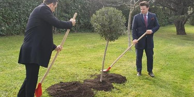 İmajlar Vatikan’dan… 6 Şubat sarsıntılarında ölenlerin anısına zeytin ağacı dikildi