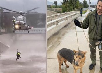Köpeğinin peşinden kanala atla