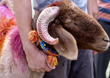 Kurban Bayramı ne vakit? 2024 Kurban Bayramı tarihi Diyanet tarafından duyuruldu… Kurban Bayramı tatili kaç gün?