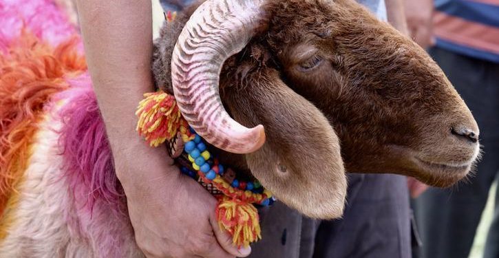 Kurban Bayramı ne vakit? 2024 Kurban Bayramı tarihi Diyanet tarafından duyuruldu… Kurban Bayramı tatili kaç gün?