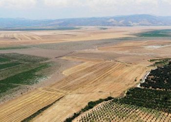 Marmara Gölü’nün tarıma açılması için keşif kararı