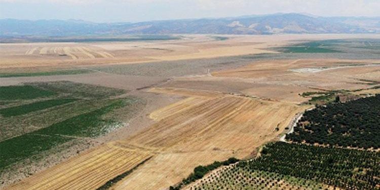 Marmara Gölü’nün tarıma açılması için keşif kararı