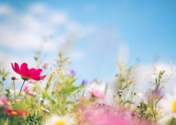 Nevruz ne vakit 2024, hangi güne denk geliyor? Nevruz Bayramı nedir, neden kutlanır?