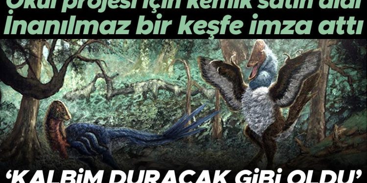 Okul projesi için kemik satın aldı, 66 milyon yıl evvel yaşamış bilinmeyen bir cins keşfetti! ‘Her şey o kadar baht yapıtı oldu ki…’