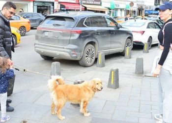 Özer Hurmacı ile Mihriban Dinçer çocukları için bir ortaya geldi