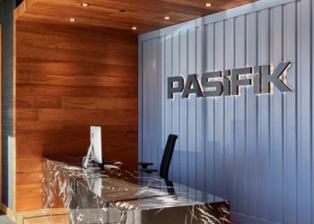 Pasifik halka arz 2024 | Pasifik Donanım halka arz ne vakit, hangi bankalar, kaç lot verir, iştirak endeksine uygun mu?