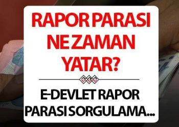 Rapor parası ne vakit yatar ve nereden, nasıl sorgulanır? E-Devlet Rapor parası sorgulama ekranı