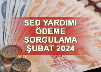 SED ÖDEME TARİHİ ŞUBAT 2024 || SED yardımı yattı mı, artırımlı çocuk parası ne kadar oldu? SED ödemesi sorgulama (e-Devlet ekranı)