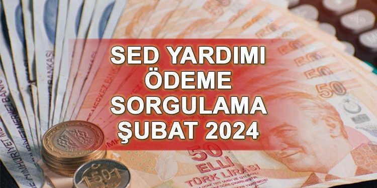 SED ÖDEME TARİHİ ŞUBAT 2024 || SED yardımı yattı mı, artırımlı çocuk parası ne kadar oldu? SED ödemesi sorgulama (e-Devlet ekranı)