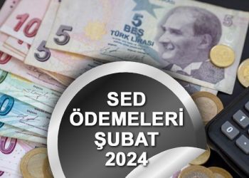SED ödemeleri yattı mı, ne vakit yatacak? Yeni SED yardımı ne kadar oldu, bu ay artırımlı yatacak mı? İşte e-Devlet sorgulama ekranı…