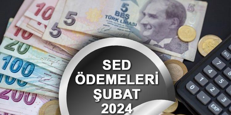 SED ödemeleri yattı mı, ne vakit yatacak? Yeni SED yardımı ne kadar oldu, bu ay artırımlı yatacak mı? İşte e-Devlet sorgulama ekranı…