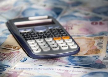 SED yardımı yattı mı, ödeme bilgisi nasıl öğrenilir? Açıklama geldi! İşte 2024 şubat ayı çocuk yardımı ödeme sorgulama ekranı