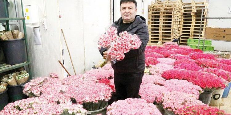 Sevgililer Günü için Antalya’dan Avrupa’ya 7 milyon dolarlık karanfil gönderildi: ‘14 Şubat’ ihracatı