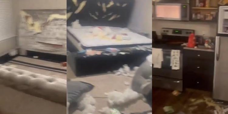 Sevgililer Günü’nde armağan almayan erkek arkadaşının konutunu harabeye çevirdi! Toplumsal medyanın konuştuğu intikam…