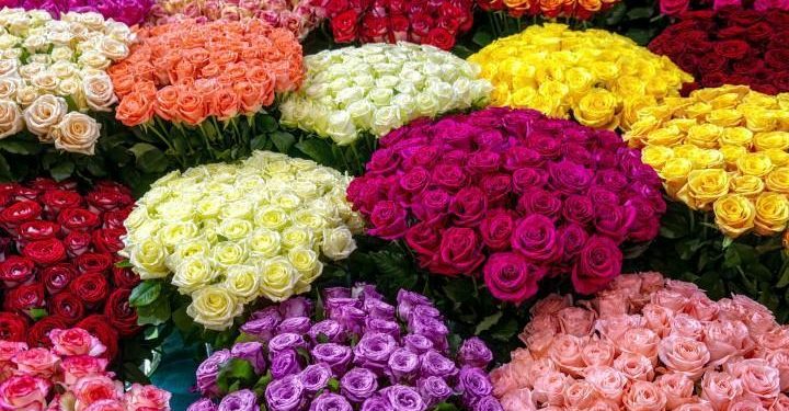 Sevgililer Günü’nde ya da rastgele bir günde gül armağan etmek çok makûs bir fikir! Nedeni ise hiç iddia edemeyeceğiniz kadar ciddi…
