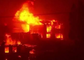 Şili’de orman yangını: En az 99 kişi hayatını kaybetti