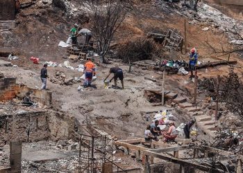 Şili’deki orman yangınlarında bilanço ağırlaşıyor