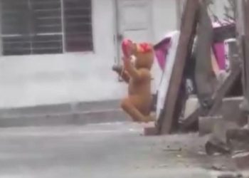 Sinema üzere operasyon: Ayı kostümü giyen uyuşturucu satıcısı kıskıvrak yakalandı