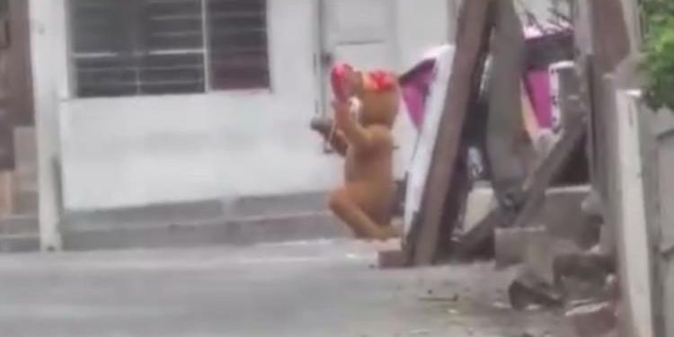 Sinema üzere operasyon: Ayı kostümü giyen uyuşturucu satıcısı kıskıvrak yakalandı