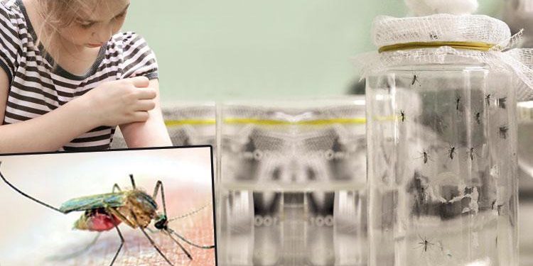 Sivrisineğe dronlu tahlil