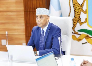 Somali, Türkiye ile savunma işbirliğini onayladı