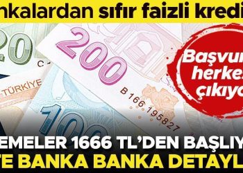 Son dakika… Bankalardan sıfır faizli kredi kampanyaları… 1666 lira aylık ödemesi var! İşte banka banka ayrıntılar…