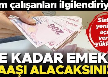 Son dakika… Tüm çalışanları ilgilendiriyor! Ne kadar emekli maaşı alacaksınız? Hesaplama e-Devlet’e yüklendi