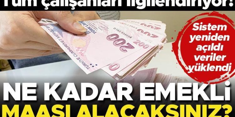 Son dakika… Tüm çalışanları ilgilendiriyor! Ne kadar emekli maaşı alacaksınız? Hesaplama e-Devlet’e yüklendi