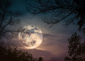 ŞUBAT DOLUNAYI 2024: Dolunay ne vakit, saat kaçta olacak? Dolunay Başak burcunda! İşte burçlara tesiri…