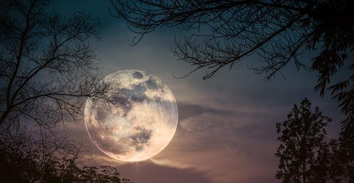 ŞUBAT DOLUNAYI 2024: Dolunay ne vakit, saat kaçta olacak? Dolunay Başak burcunda! İşte burçlara tesiri…