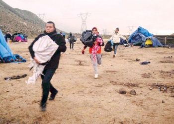 Trump’ın fikri tekrar gündemde: ‘Meksika hududunu timsahla koruyalım’