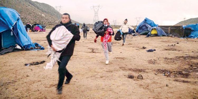 Trump’ın fikri tekrar gündemde: ‘Meksika hududunu timsahla koruyalım’