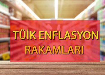TÜİK ENFLASYON ORANLARI 2024 ŞUBAT || Enflasyon sayıları ne vakit açıklanıyor, saat kaçta açıklanacak?