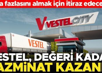 Vestel, pahası kadar tazminat kazandı