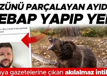 Yüzünü parçalayan ayıdan kebap yapıp yedi! Dünya gazetelerine haber olan akılalmaz intikam